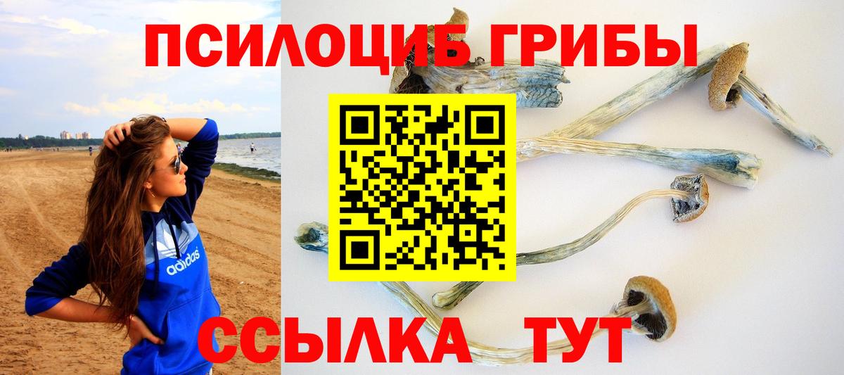 Галлюциногенные грибы Cubensis  Вход с VPN  Ижевск  Галлюциногенные грибы прущие грибы 